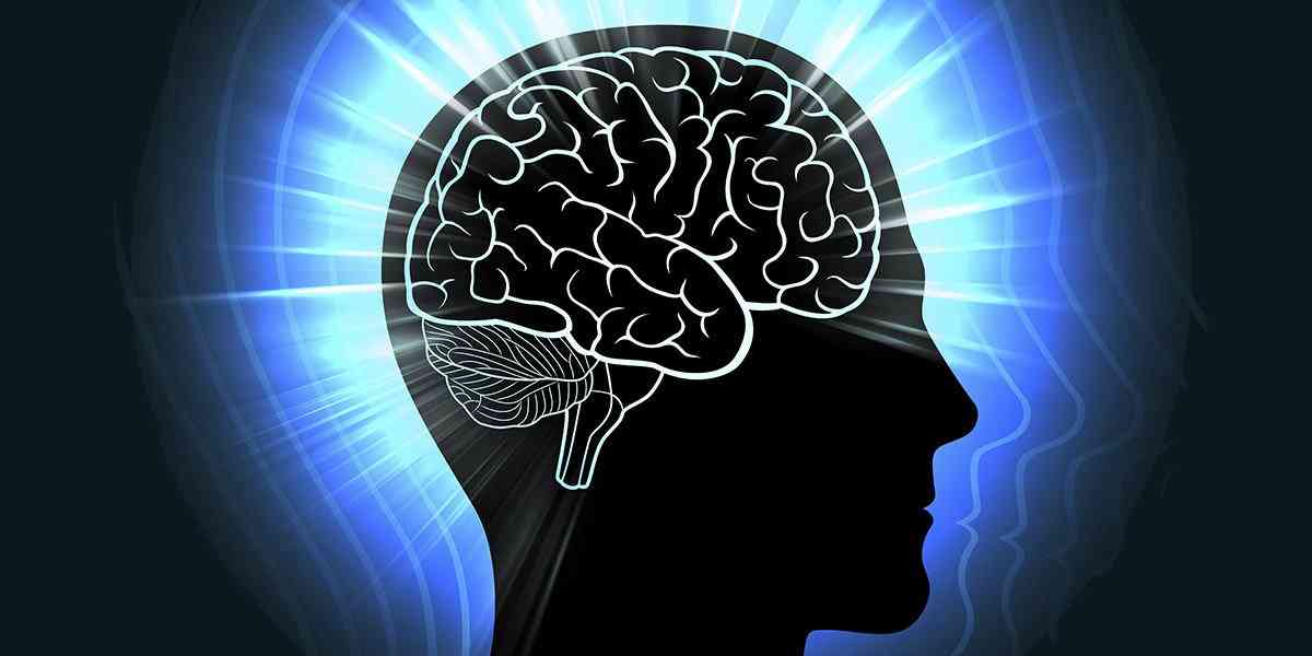 ψυχοθεραπεία, αλλαγές στον εγκέφαλο, αλλαγές στον εγκέφαλο από την ψυχοθεραπεία