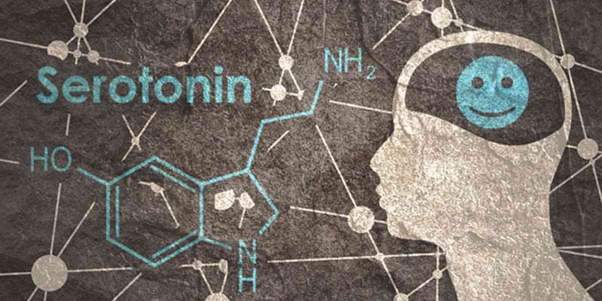 ιδεοψυχαναγκαστική διαταραχή, σεροτονίνη, σεροτονίνη και ιδεοψυχαναγκαστική διαταραχή, ρόλος σεροτονίνης στην ιδεοψυχαναγκαστική διαταραχή